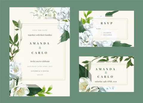 Wedding invitation kit decorated with hand painted watercolor jasmine flowers Stock Illustration