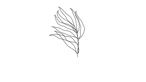 Wedding invitation.Self drawing simple animation of single continuous one line Stock Footage 128419630