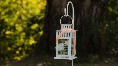 Wedding lantern in the forest Stock Footage 101639784