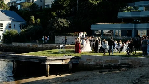 Wedding Lavender Bay Stock Footage 107421592