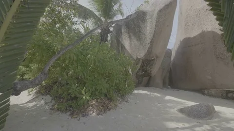 Wedding location 1 flat Stock Footage 80397361