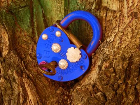 Wedding lock on the tree Stock Photos