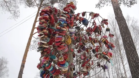 Wedding locks on artificial metal tree from couples expressing their eternal Stock Footage 104546518