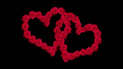 Wedding love video Stock Footage 208201380
