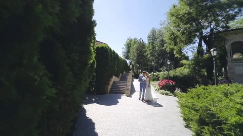 Wedding loving couple Stock Footage 80724118