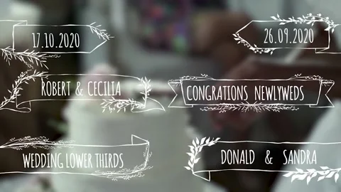 Wedding Lower Thirds Stock After Effects