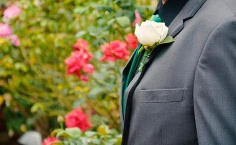 Wedding man Stock Photos