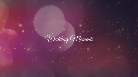 Wedding Moments Stock After Effects