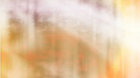 Wedding Motion Background HD NTSC 01 Stock Footage 338928