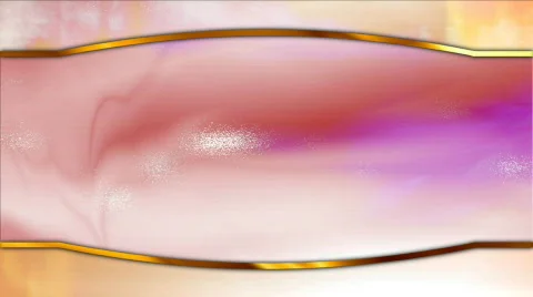 Wedding Motion Background HD NTSC 24 Stock Footage 339184