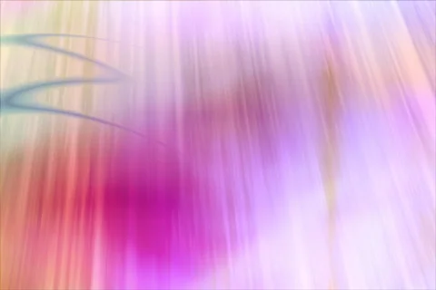 Wedding Motion Background -- Romantic 04 4x3 NTSC Stock Footage 315361