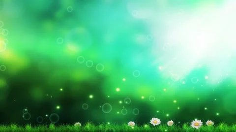 Wedding Motion Loopable Background, Gree... | Stock Video | Pond5