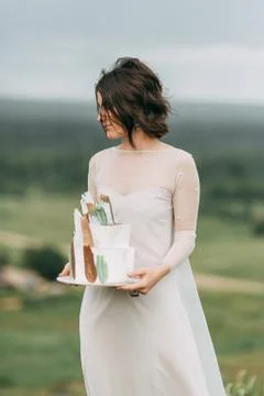 Wedding in the mountains Stock Photos