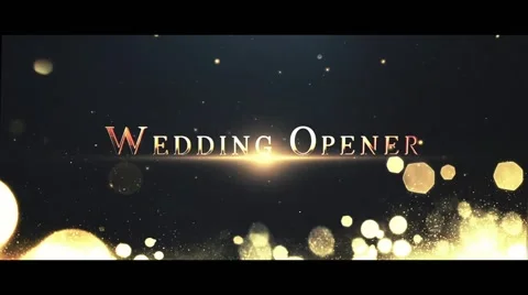 Wedding Opener Stock After Effects