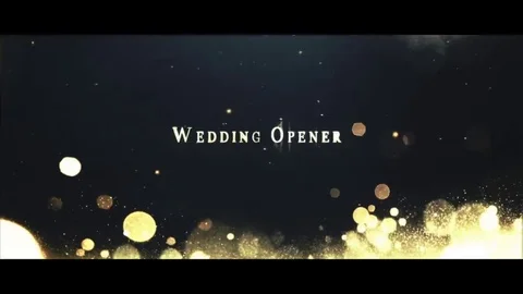 Wedding Opener II Stock After Effects
