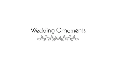 Wedding Ornaments Title Stock After Effects
