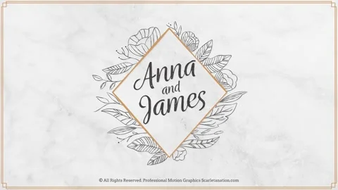 Wedding Pack 80+ Handcrafted Stock After Effects