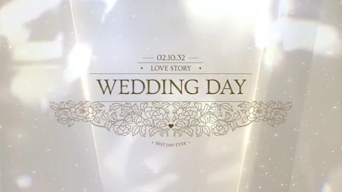 Wedding Pack After Effects stock