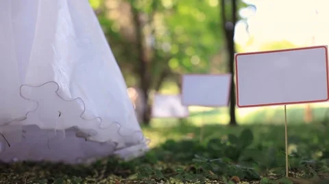 Wedding In A Park Video stock 52635286