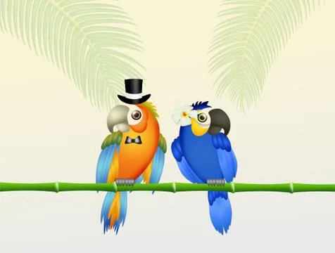 Wedding of parrots 스톡 일러스트