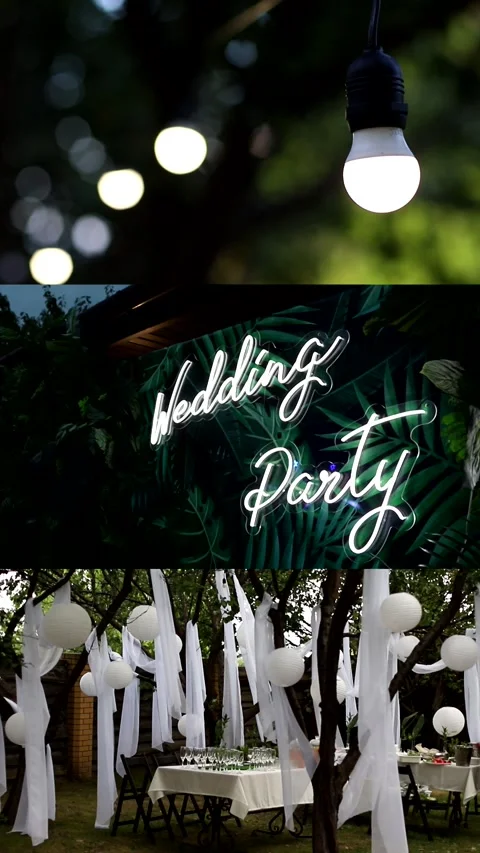 Wedding party. Collage, multi-screen. Wedding collage. Vídeos de archivo 336732983