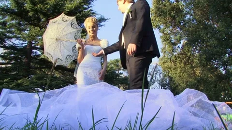 Wedding Party Video stock 52486353