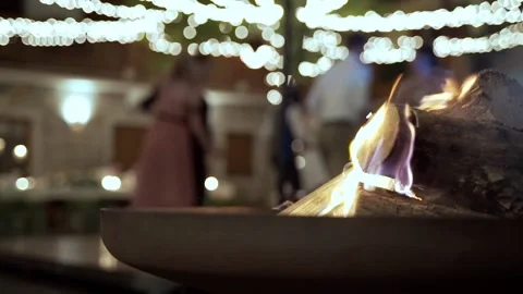 Wedding party Stock Footage 238739090