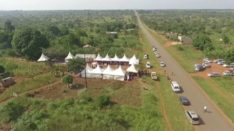 Wedding party function in green nature by the roadside Stock Footage 194361252