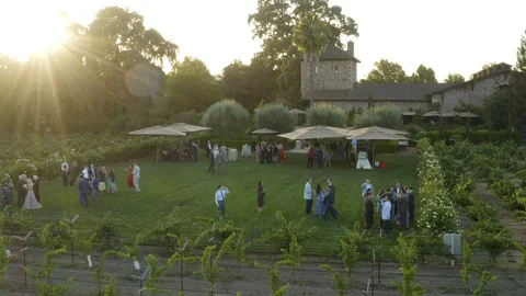 Wedding Party at V. Sattui Sunset Aerial Stock Footage 123458486