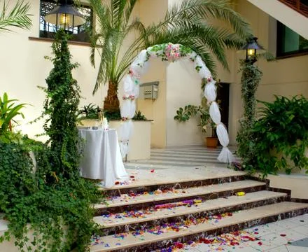 Wedding path rose petals Stock Photos