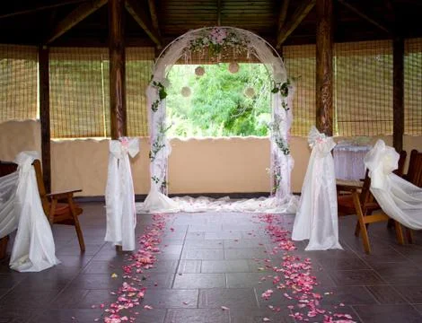 Wedding path rose petals Stock Photos