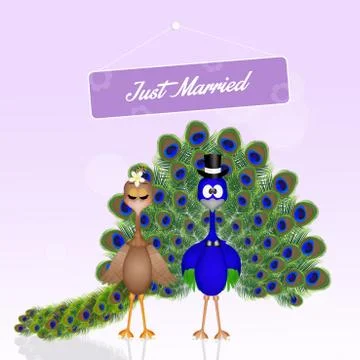 Wedding of peacocks Stock Illustration