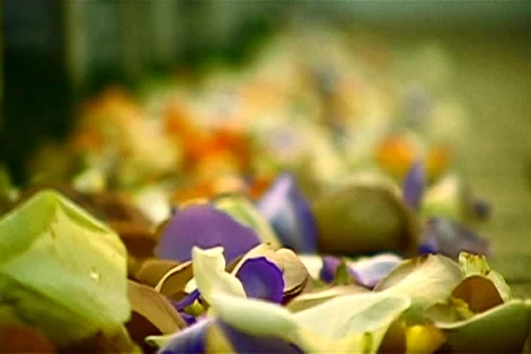 Wedding petals rack focus Stock Footage 937480