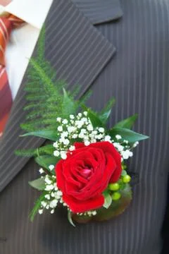 Wedding Stock Photos