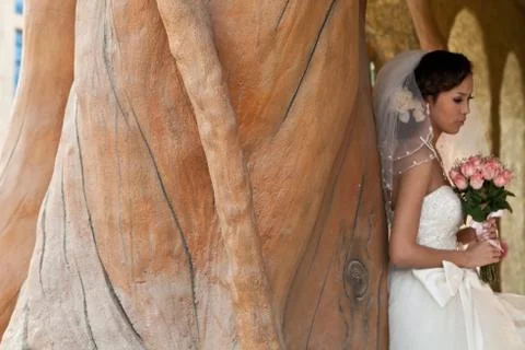 Wedding Stock Photos