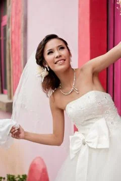 Wedding Stock Photos