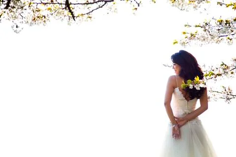 Wedding Stock Photos