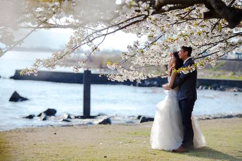 Wedding Stock Photos