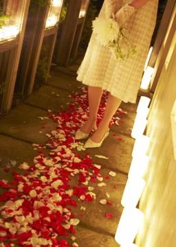 Wedding Stock Photos