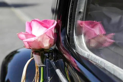 Wedding Stock Photos