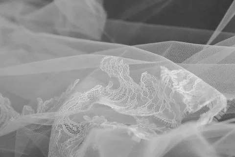 Wedding Stock Photos