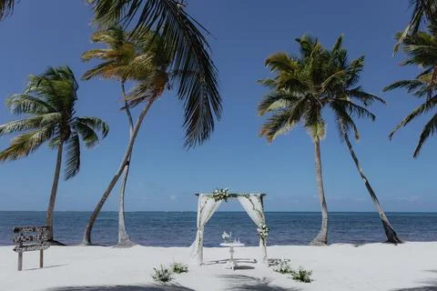 Wedding Stock Photos