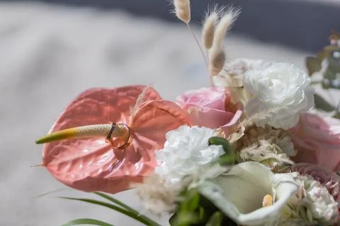 Wedding Stock Photos