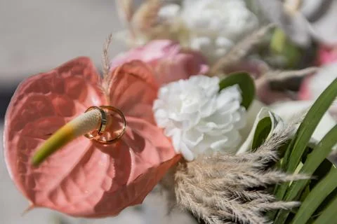 Wedding Stock Photos