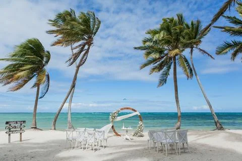 Wedding Stock Photos