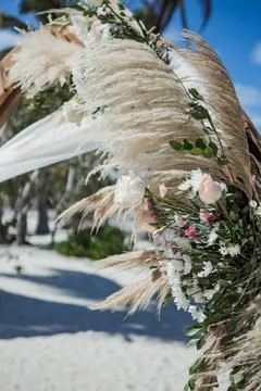 Wedding Stock Photos