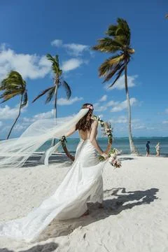 Wedding Stock Photos