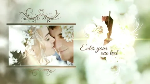 Wedding Photoalbum After Effects stock