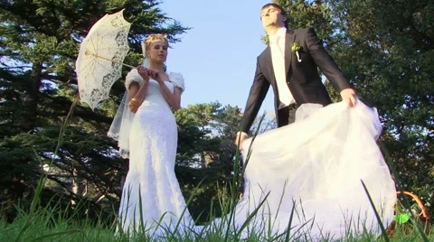 Wedding Picnic Stock-Footage 52486301