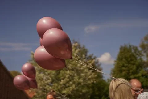 Wedding pink balloons float in the sky Stock Photos